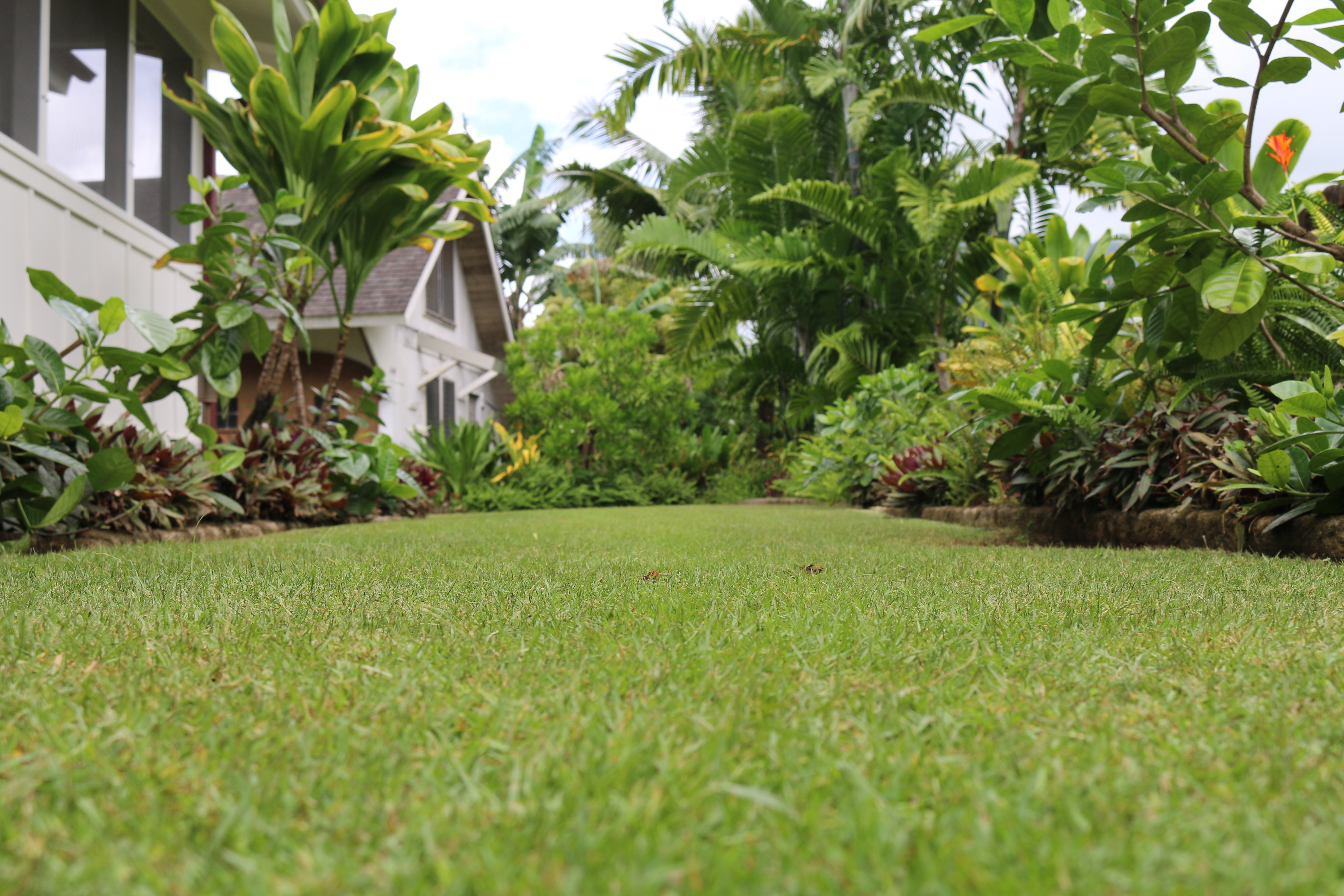 Professional landscaping in Kauai
