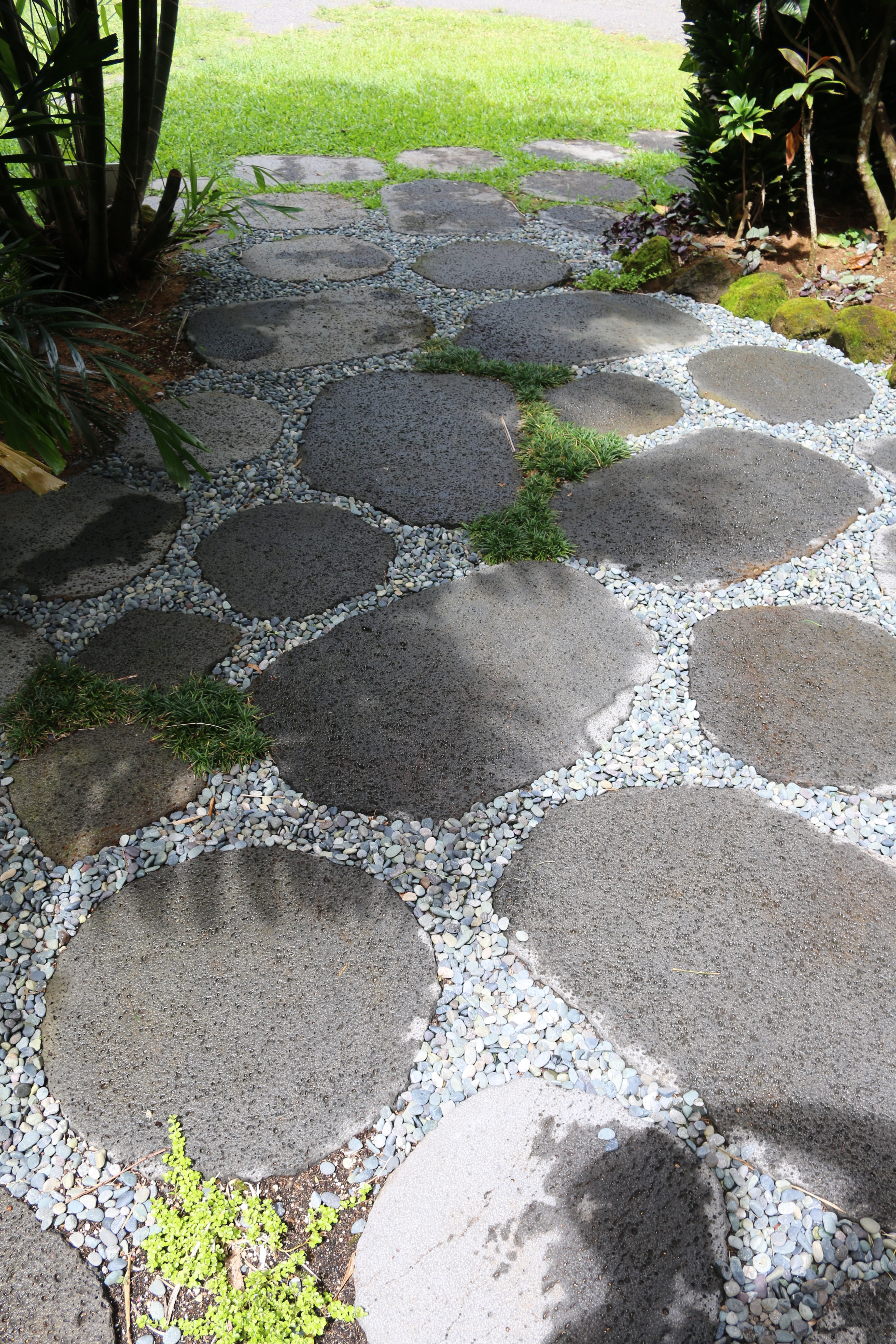 Tropical garden design